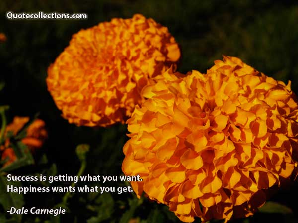 Dale Carnegie Quotes4